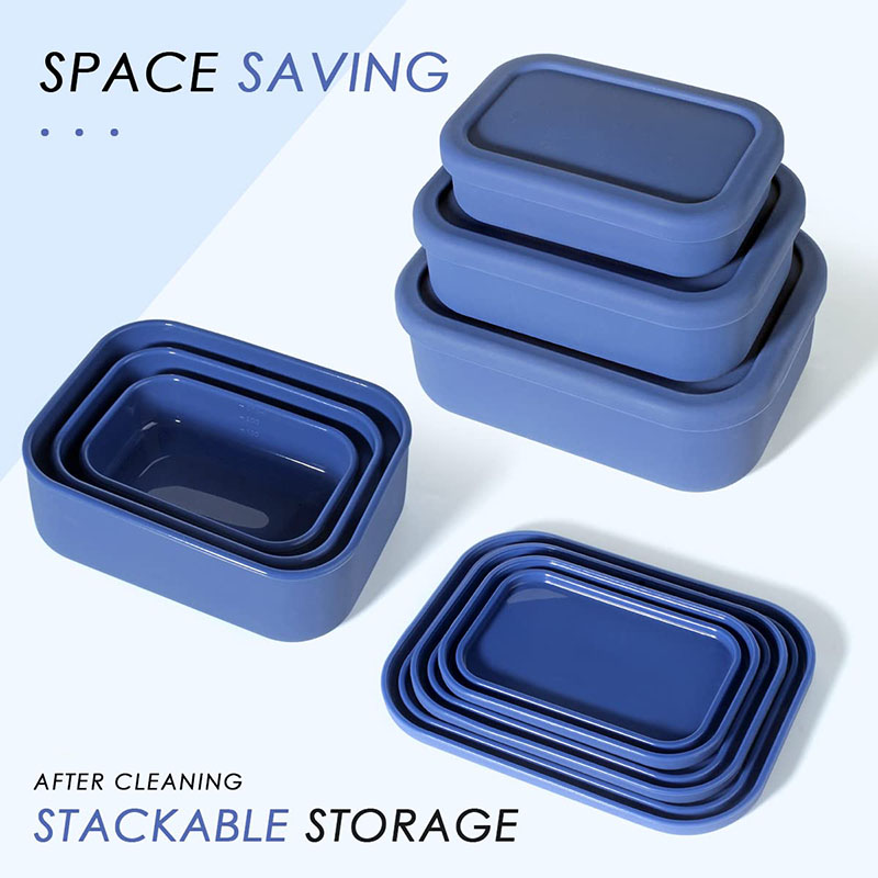 Leak-Resistant Bento Lunch Box - Meal Prep Lunch 评论和价格